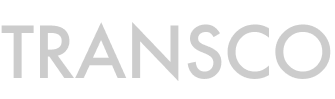 rio-custom-logo5-grey