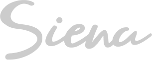 rio-custom-logo8-grey
